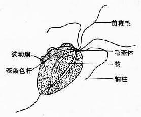 �γ�����������ô�Σ�����Ǯ��