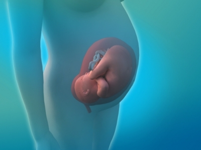 �ൺ�޴�DNA��ǰ����ļҺã�