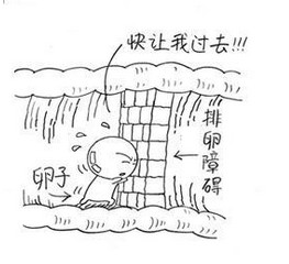 女性不孕或因排卵障碍所致