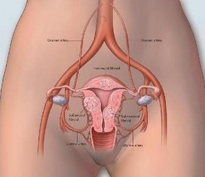 多囊卵巢会导致卵巢不排卵吗?