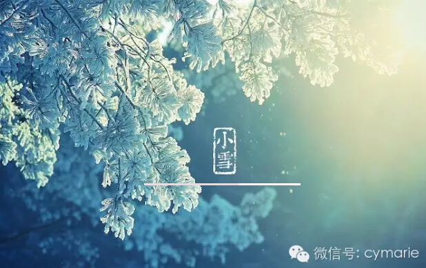 雪随风不厌看,更多还肯失林峦。愁人正在书窗下,片飞来片寒。—— 唐·戴叔伦《小雪》